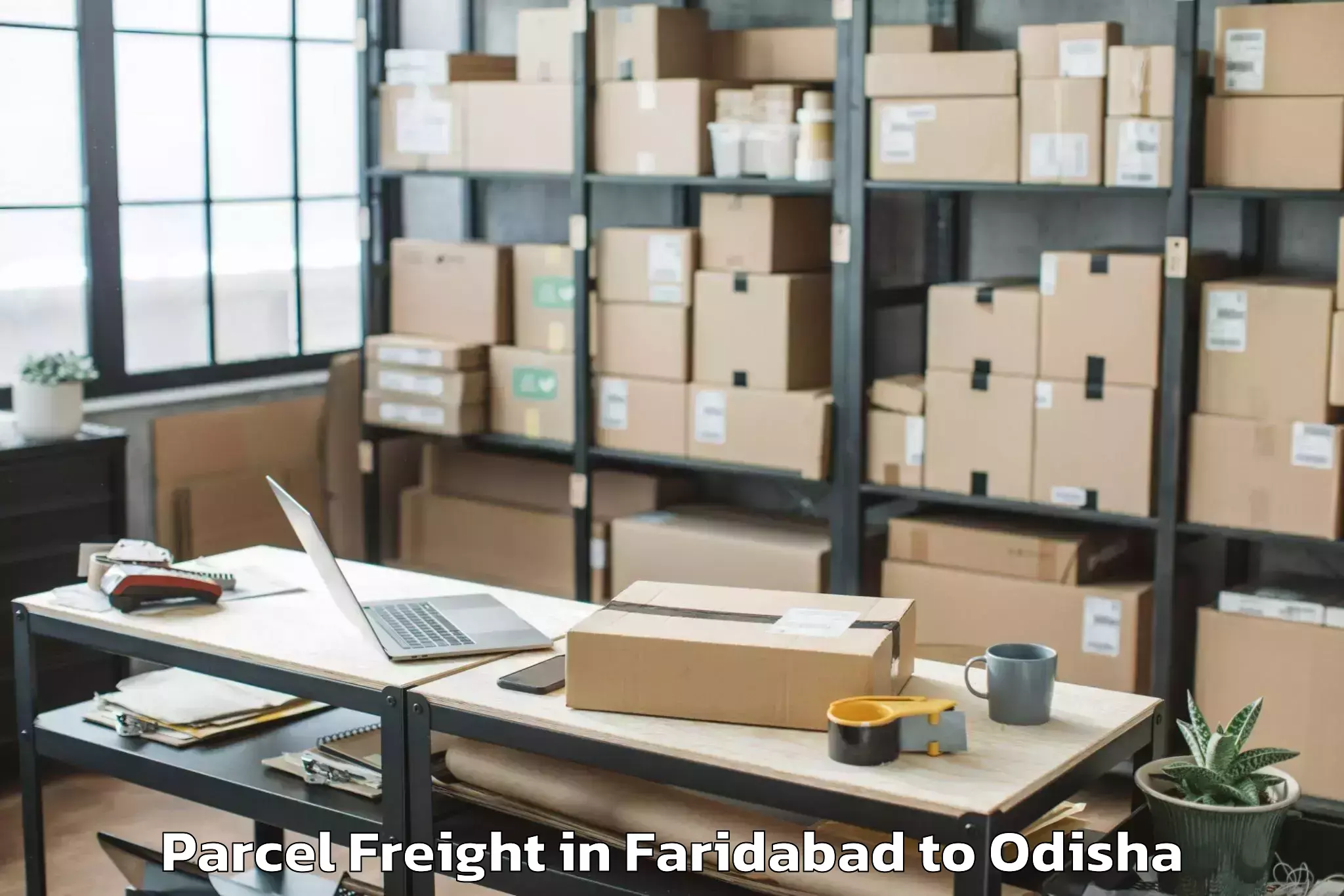 Book Your Faridabad to Kamakshyanagar Parcel Freight Today